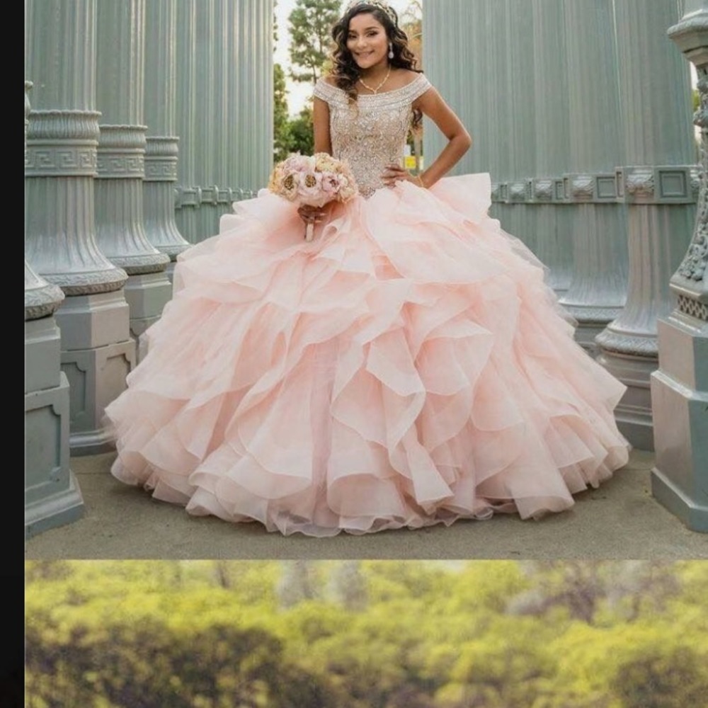 Vizcaya Blush Gown, NEW-never worn size small